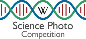 Logo_for_e-Science_Photo_Competition_v2.svg